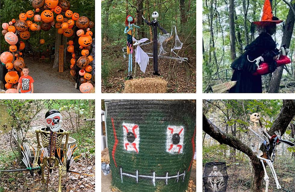 The Interactive Pumpkin Hollow Trail in Greenville is a MUST for Halloween