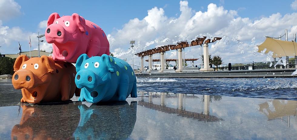 Hambushed: There&#8217;s a Funny Scavenger Hunt for Lil Piggies in Owensboro, KY