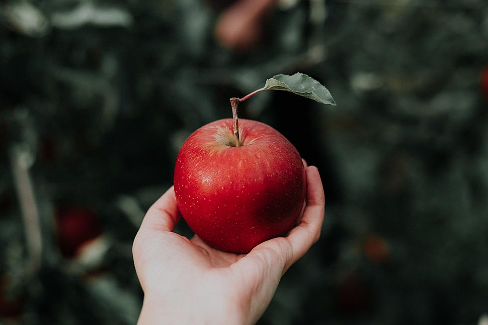 It’s Back! Reid’s Orchard Apple Festival in Owensboro, Kentucky