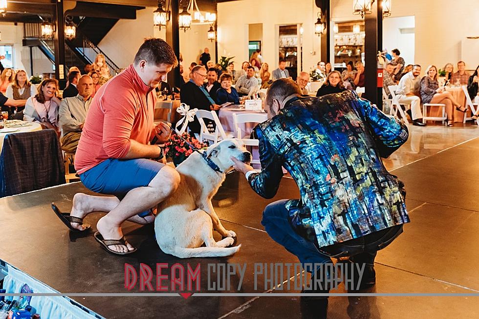 If You Like Dogs and Fashion, You&#8217;re Going to Love This Owensboro Fundraiser