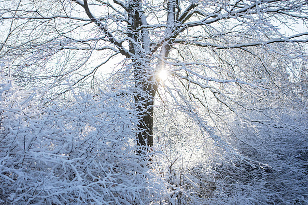 Snow and Bitter Cold Temperatures in Forecast