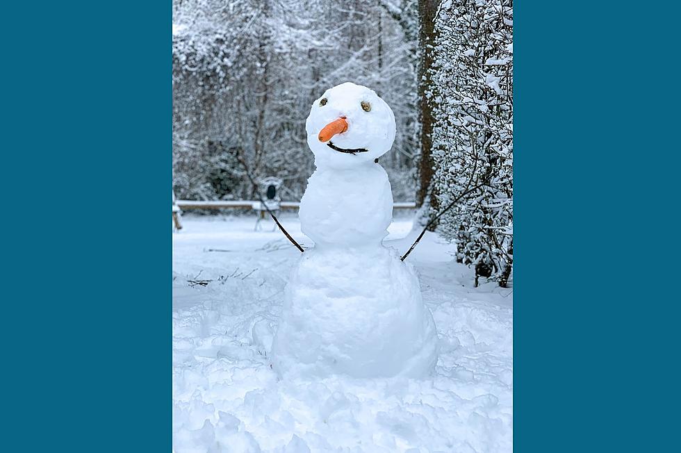 Danville, Kentucky Woman Mails a Snowman to Her Sister &#8212; a Teacher in Florida &#8212; So Her Students Can See Snow