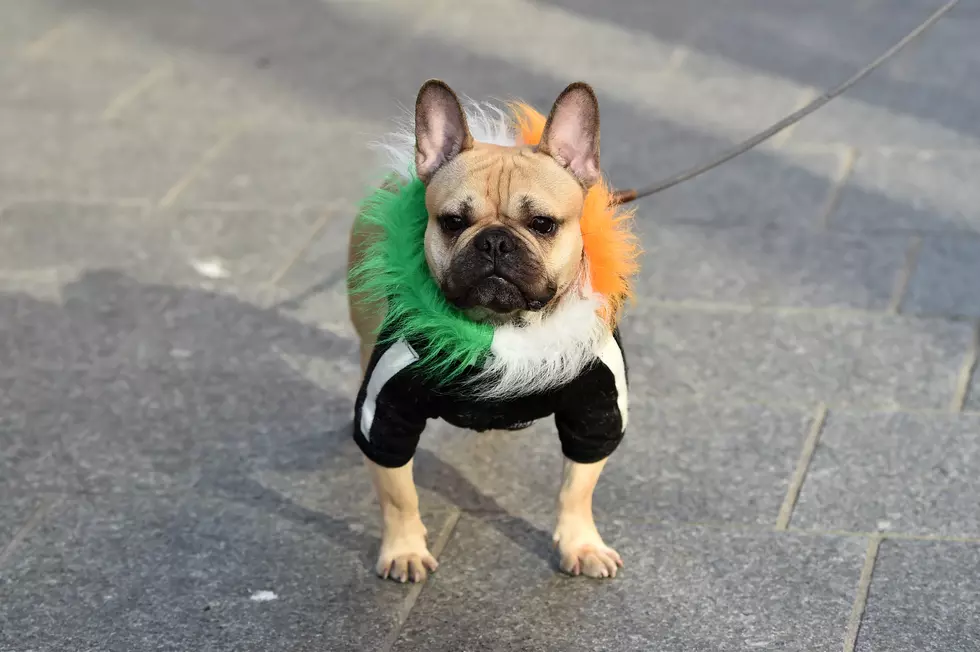 Another St Patrick's Day During The Coronavirus Pandemic