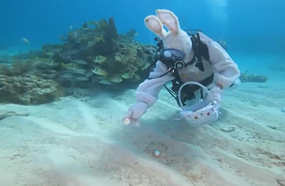 An Underwater Easter Egg Hunt in Southern Indiana in April [VIDEOS]