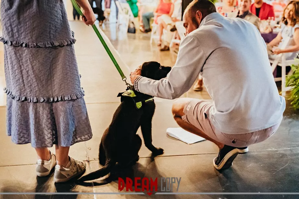 35 Adorably Furry Photos from SPARKY&#8217;s Bark in Style Fashion Show in Owensboro