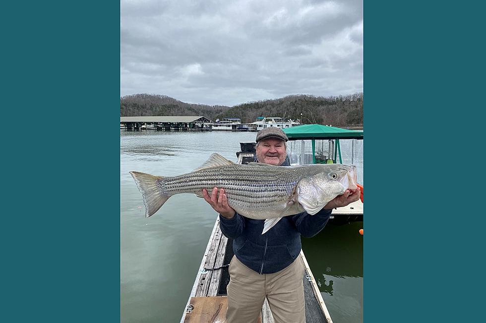 Huge Striped Bass Are Biting at Lake Cumberland in Eastern Kentucky&#8230;One of Many Reasons to Visit