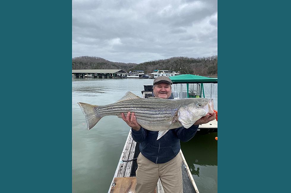 Huge Bass and Other Fun Lake Cumberland Attractions