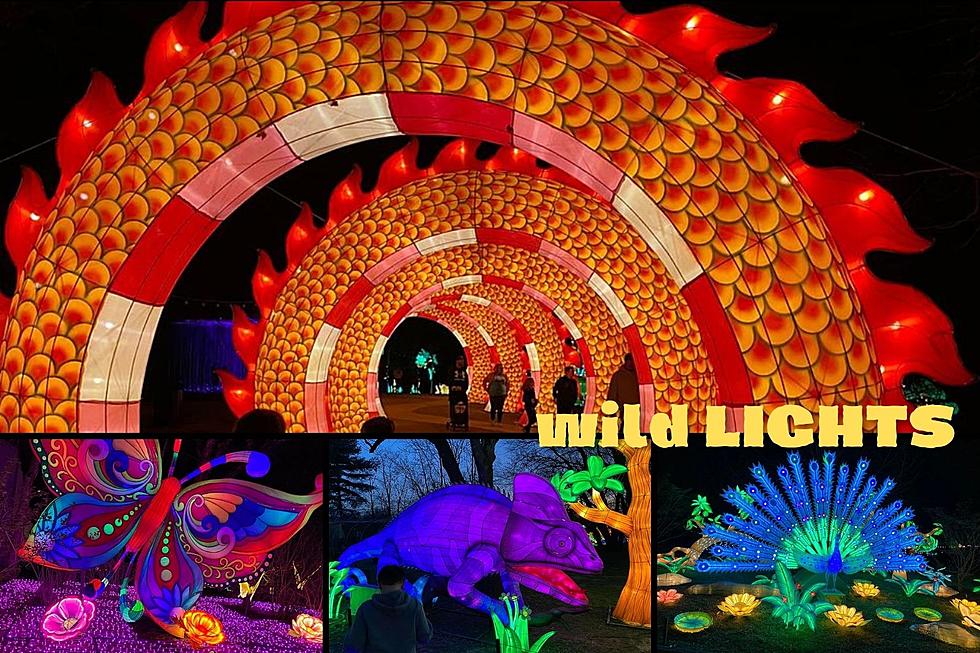 30 Spectacular Photos from Wild Lights at the Louisville Zoo