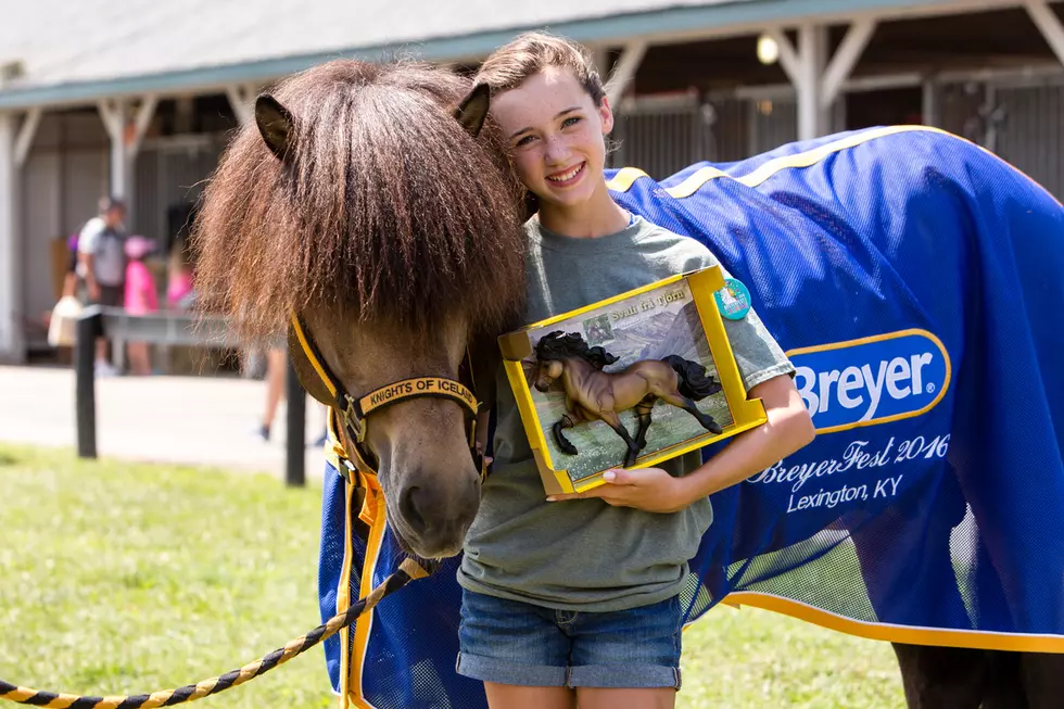 Breyer Horse Festival Coming to Kentucky in July 2022