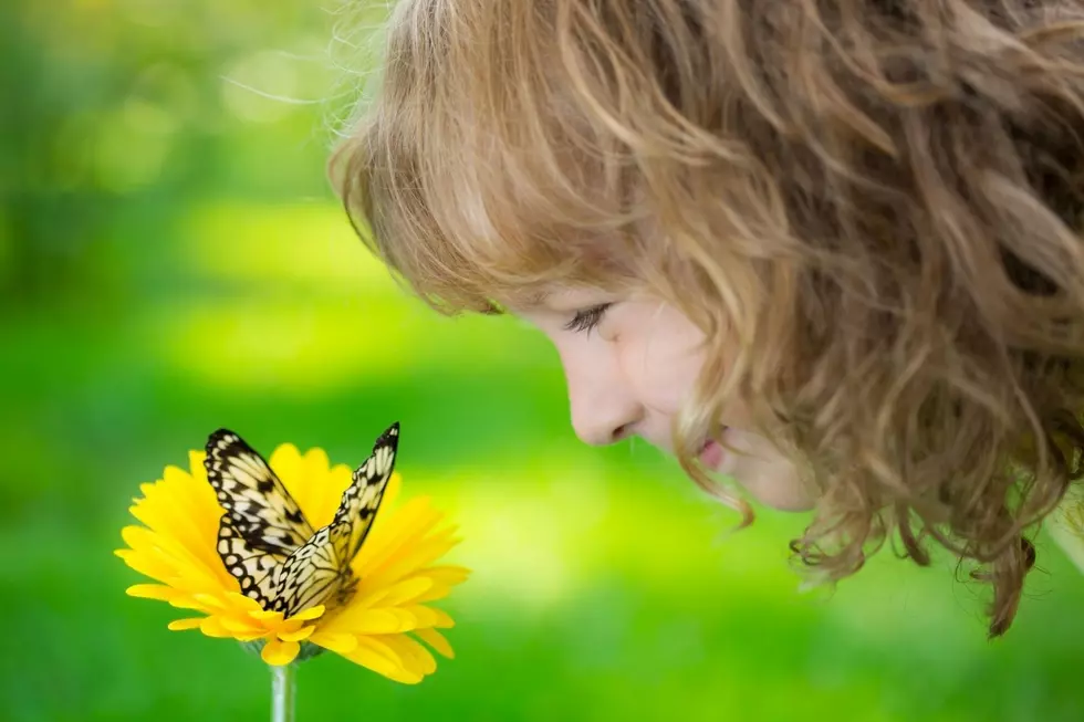 Massive Butterfly Greenhouse Makes A Perfect Day Trip In Kentucky