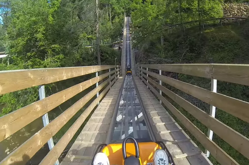 Tennessee Alpine Coasters -- What a Blast