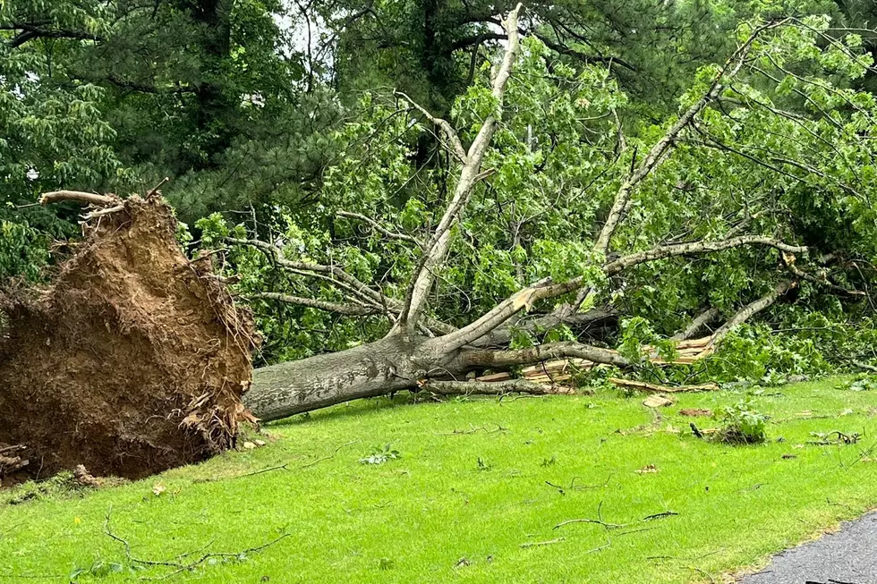 Storms Rip Across Kentucky, Snapping Trees and Power Lines [VIDEOS, PHOTOS]