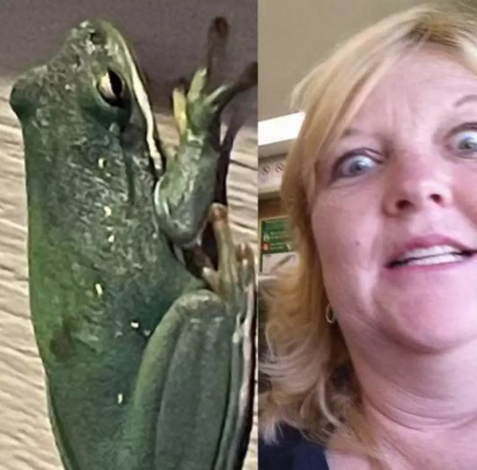 Kentucky Woman is Deathly Afraid of Frogs and One Just Raided Her House