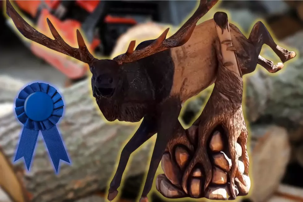 Kentucky Man Named World’s Top Chainsaw Carver [VIDEO]