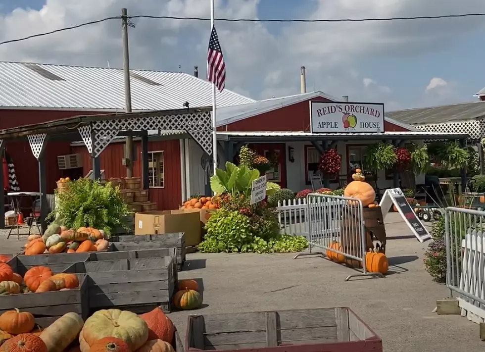 Reid's Apple Festival Moving in '23