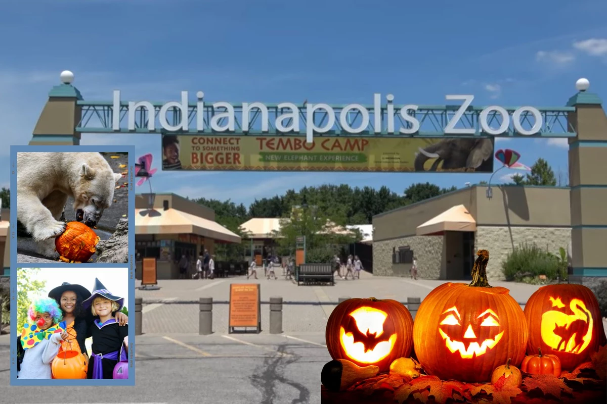 ZooBoo returns to the Indianapolis Zoo with 21 days of fun Vacation