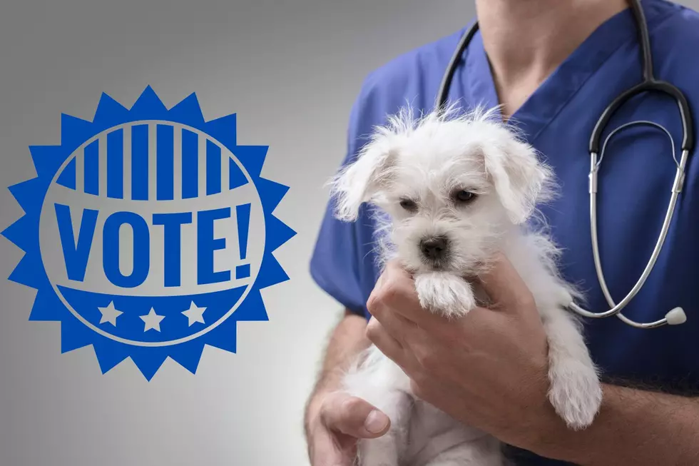 Who's Your Favorite Veterinarian in the Tri-State? 