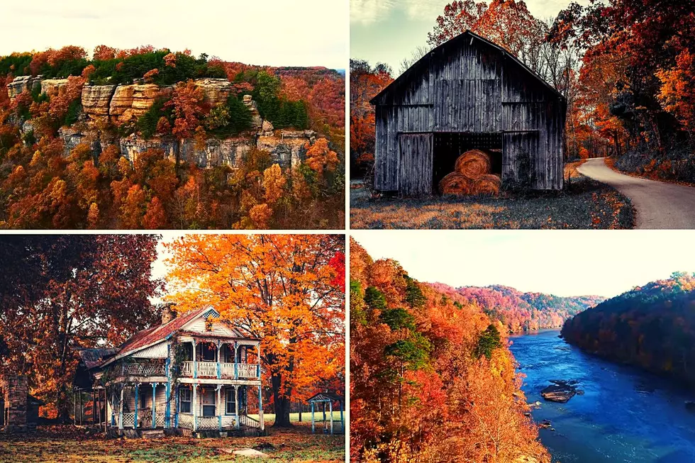 KY Fall Beauty Captured [PHOTOS, VIDS]