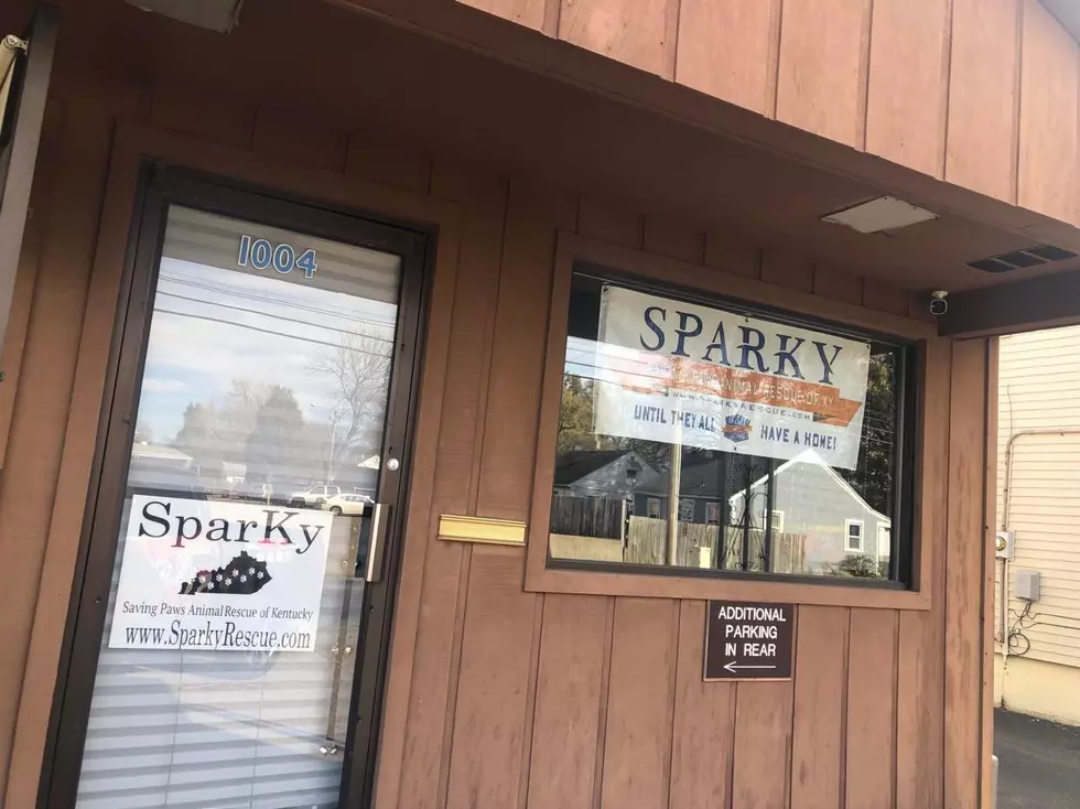 SNEAK PEEK INSIDE SPARKY'S BRAND NEW RESCUE CENTER