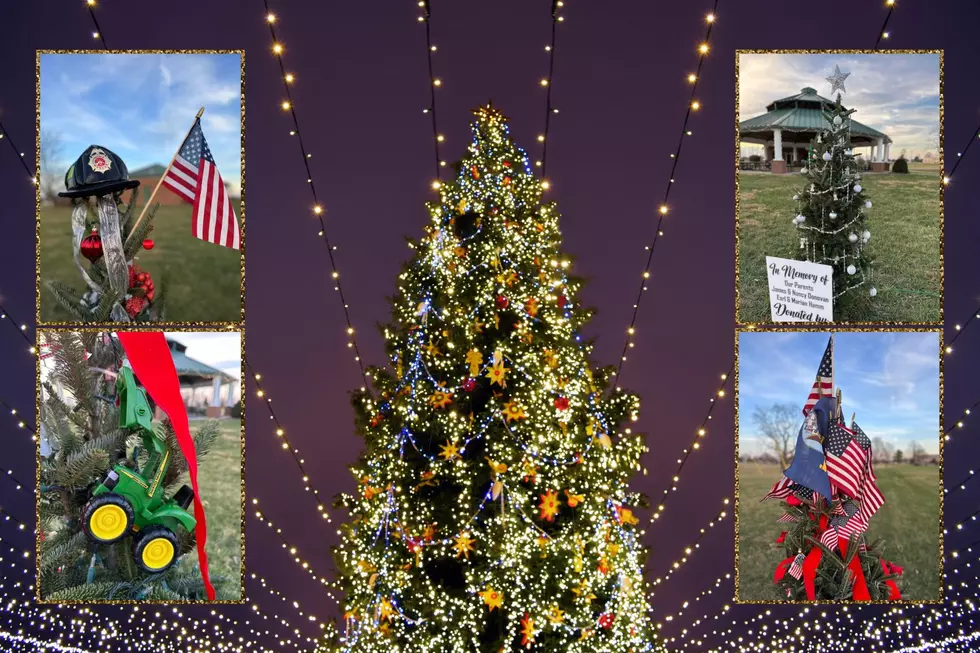 KY Town's 100-Plus Christmas Tree Display Honors Lost Loved Ones 