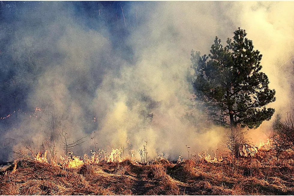 How Firefighters Are Battling Eastern Kentucky Wildfires