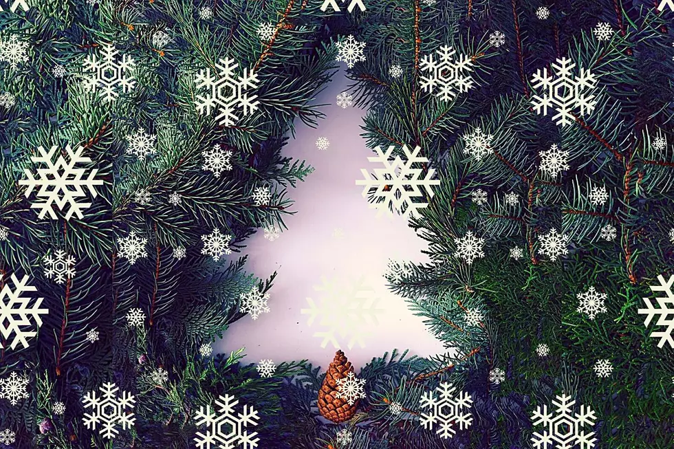 Free Christmas Trees at Land Between the Lakes