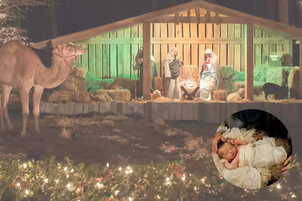 Kentucky Church Hosts Live Drive Thru Nativity Scene With Animals &#038; It&#8217;s Beautiful