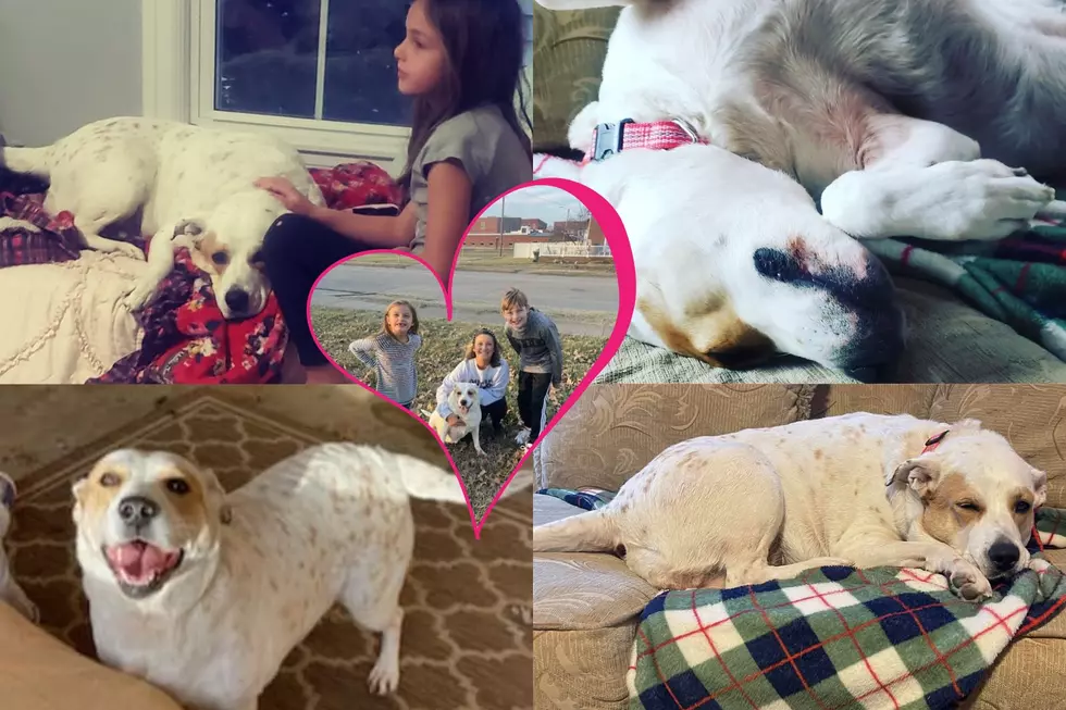 Abandoned Kentucky Pup Gets Her Happy Ending & Her Story Will Bring You To Tears