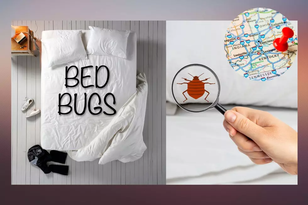 These Two Cities in Kentucky Made Top 50 Bed Bug Cities in U.S.