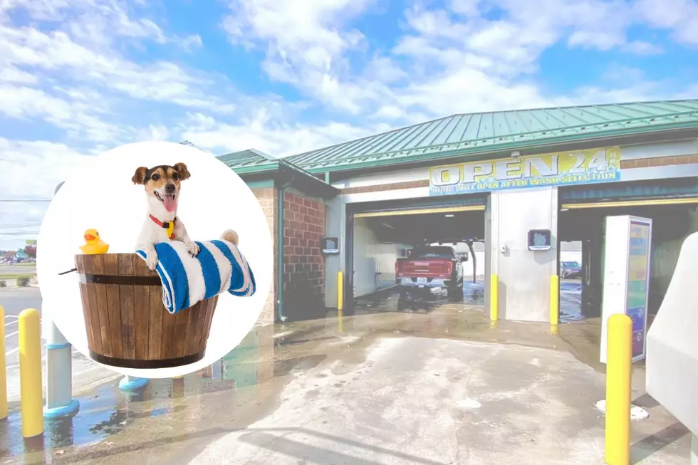 FUN: Kentucky Car Wash Adds Dog Wash System & We’re Howling With Excitement