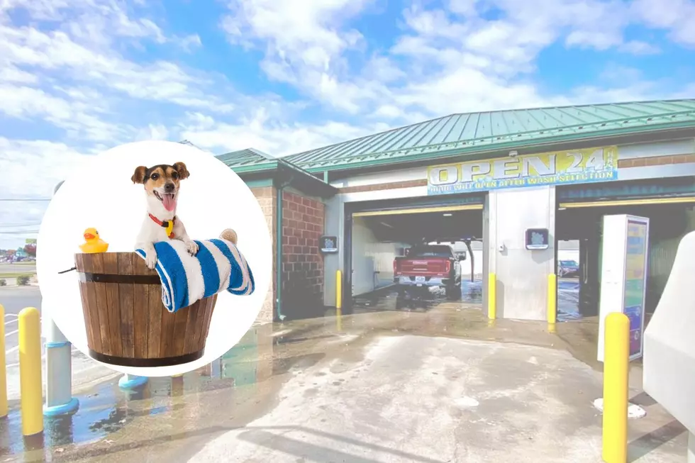 FUN: Kentucky Car Wash Adds Dog Wash System &#038; We&#8217;re Howling With Excitement