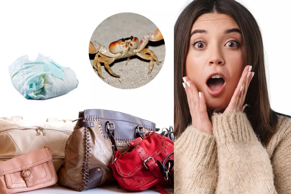 5 Weird & Disgusting Items Kentucky Moms Confess To Finding In Their Purse