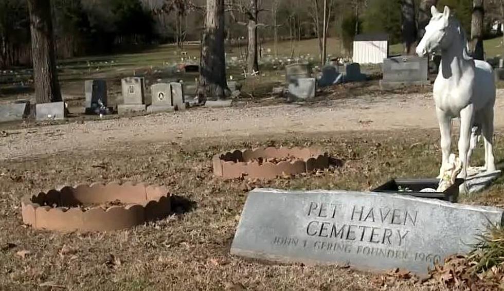 Kentucky is Home to a Real-Life Pet Cemetery, But It’s Not as Scary as You Think