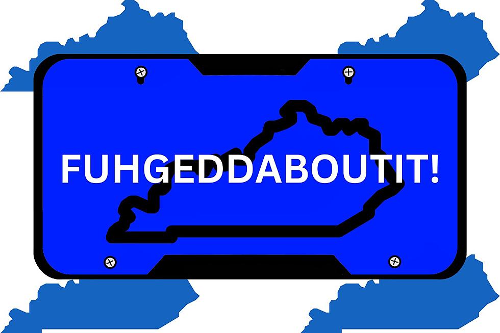 A Selection of Rejected Kentucky Personalized License Plates