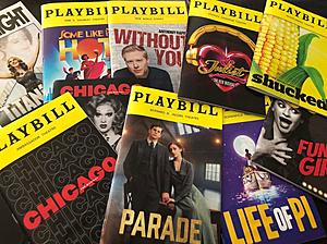 I Just Saw 9 Broadway Shows in New York City and These Were My...