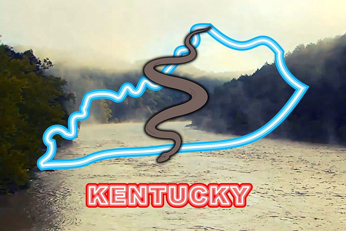 KY Is Home to One of the Nation's Most Snake-Infested Rivers