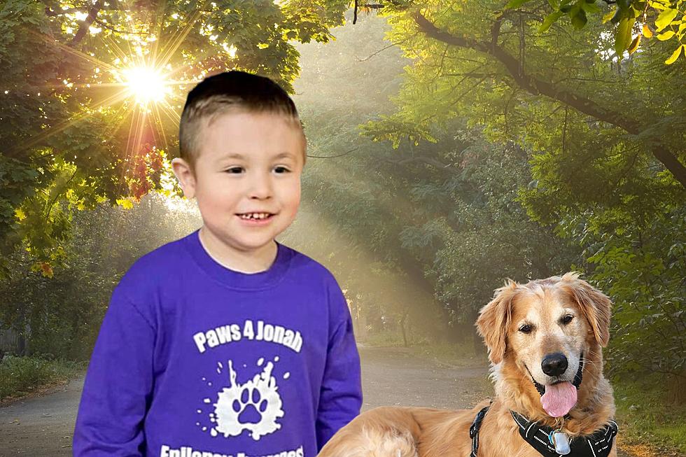 Fundraiser Planned to Purchase Service Dog for Jonah Roach