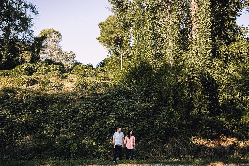 The Vine That Took Over The South; Kudzu in Alabama, Georgia and South Carolina