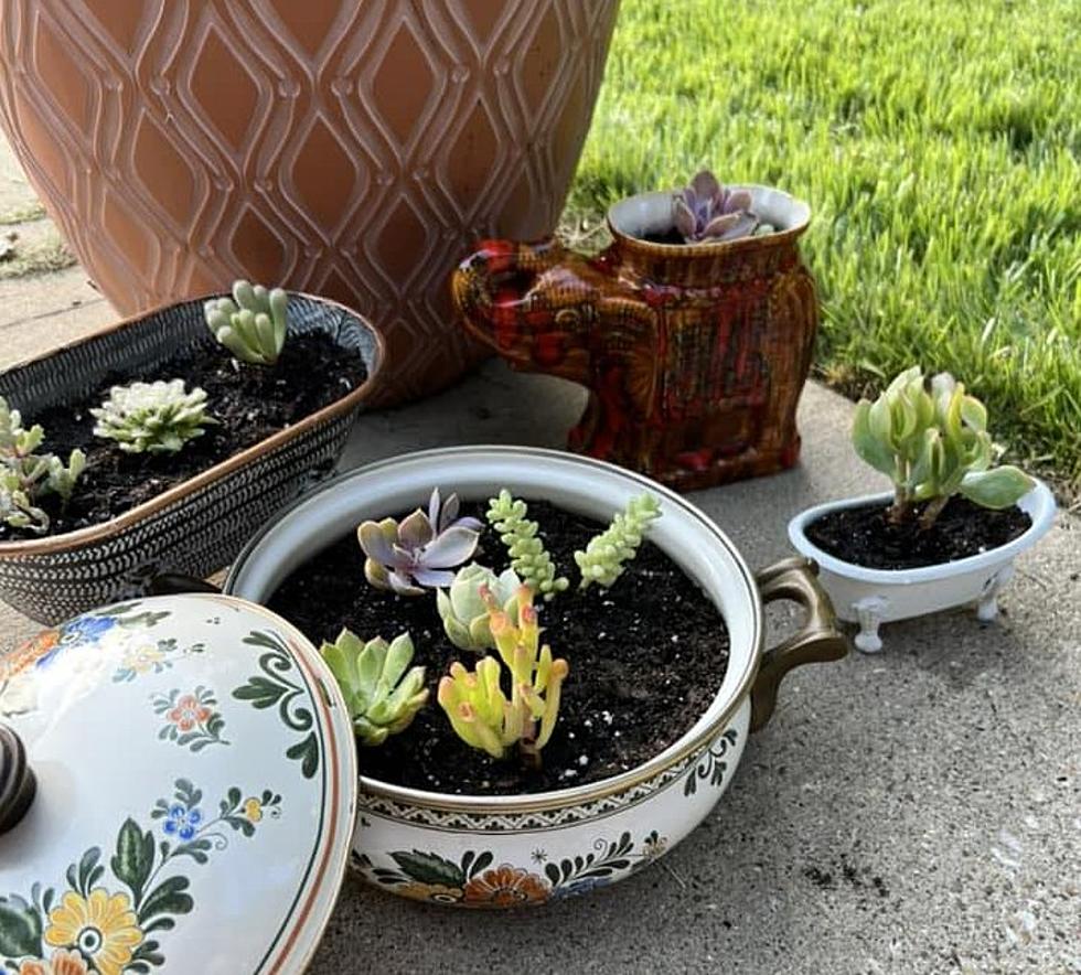 Kentucky Woman Brings People Together Through Plant Parties