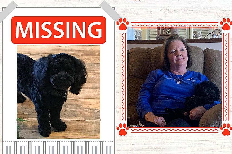 Dog Goes Missing While on Vacation, Owensboro, KY Family Living That Nightmare [REWARD]