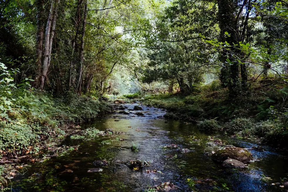 Photo by Karim Sakhibgareev on Unsplash