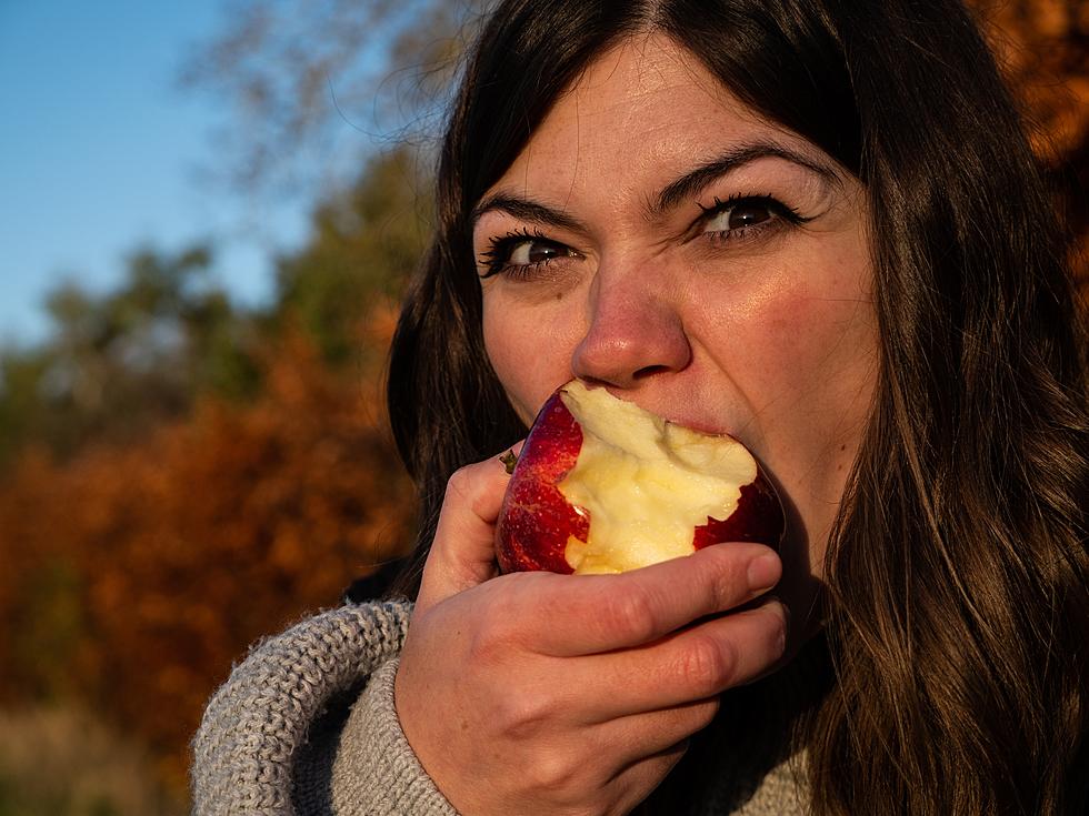 Do Chewing Sounds Fill You With Rage? You May Have Misophonia!