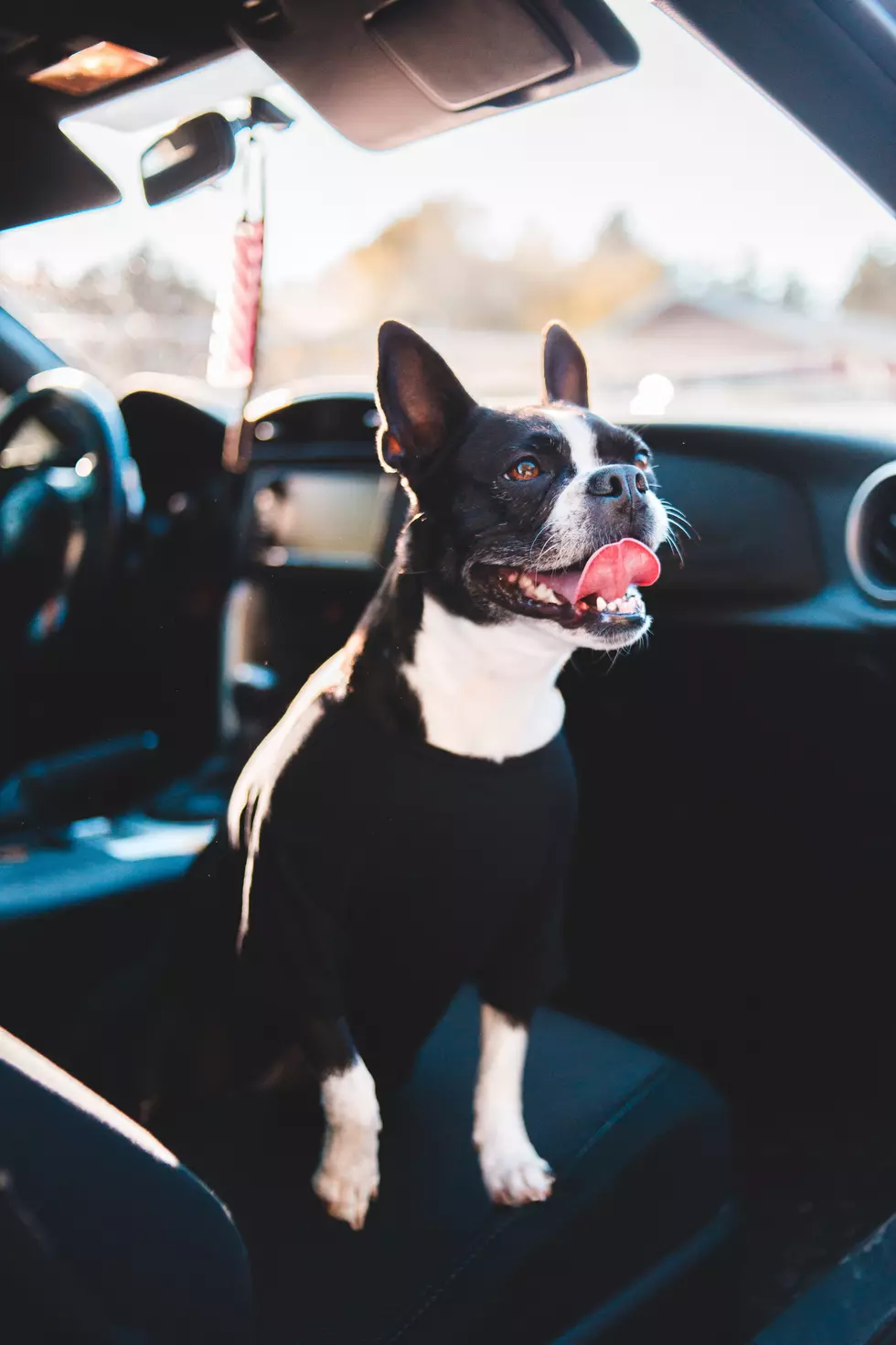 Photo by Erik Mclean on Unsplash