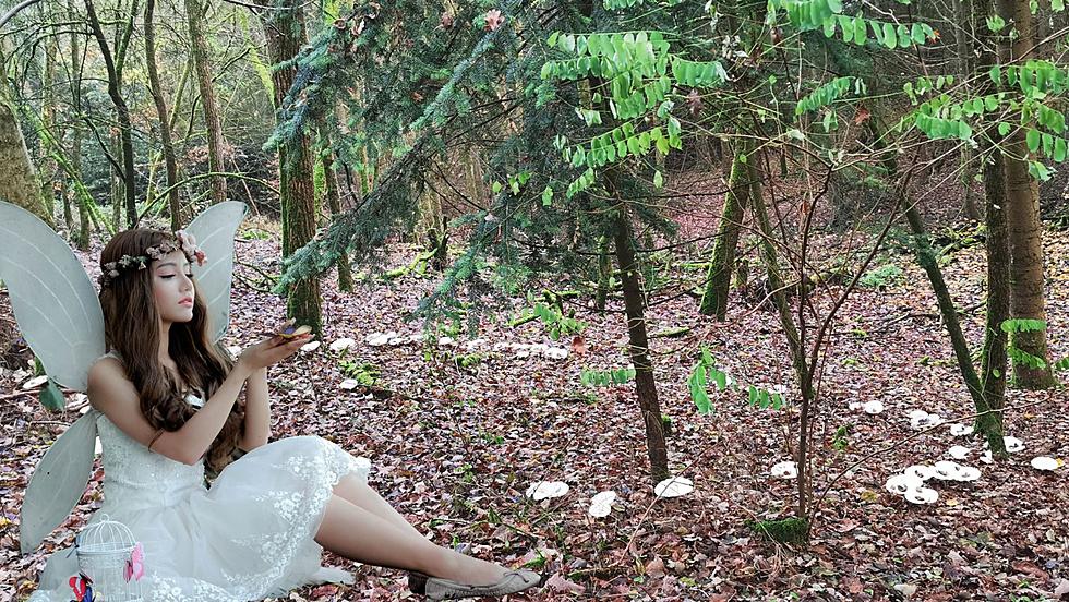 Fairy Rings: Mysterious Mushroom Circles Common in Kentucky
