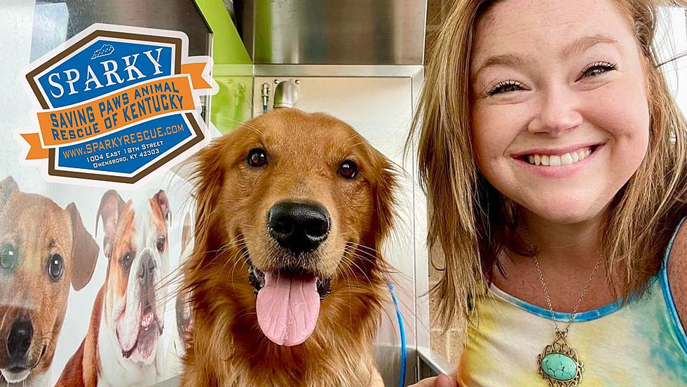 Owensboro&#8217;s Shammy&#8217;s Dog Wash Hosting Fundraiser for Kentucky Animal Rescue