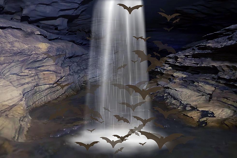 Unique KY Cave System Features a Waterfall &#038; Indiana Bats