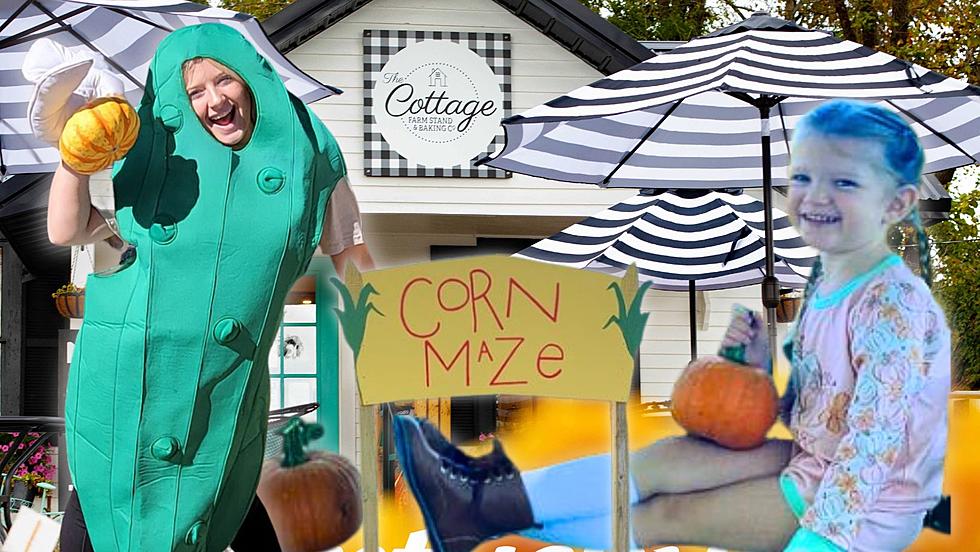 Fall, Family, Fun! The Cottage Pumpkin & Pickle Festival Returns!