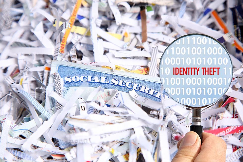Prevent Identity Theft: Free Paper Shredding Day Offered in Daviess County, Kentucky