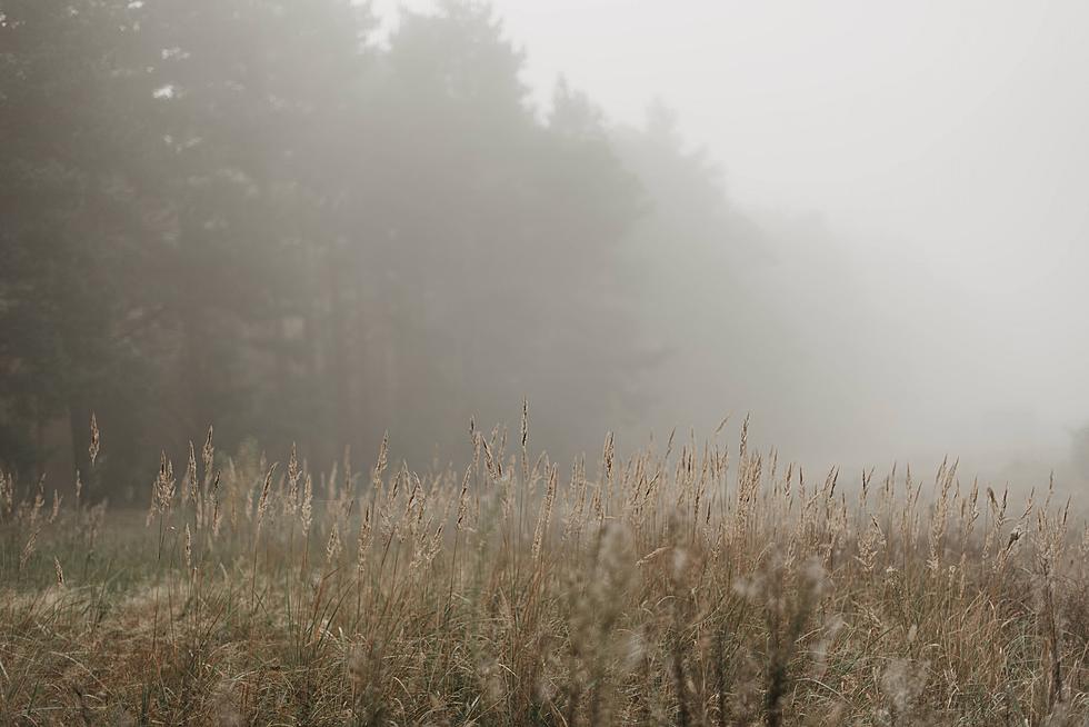 Why You Should Count the Number of Foggy Mornings in August