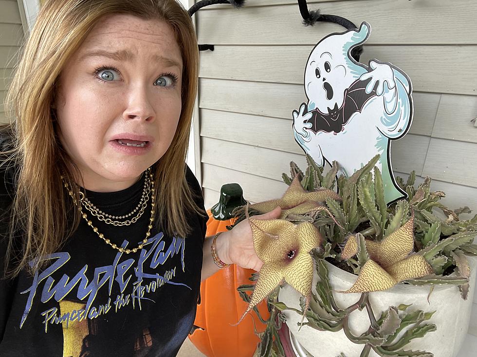 Kentucky Woman Finds Giant Stinky “Alien” in a Plant on Her Porch